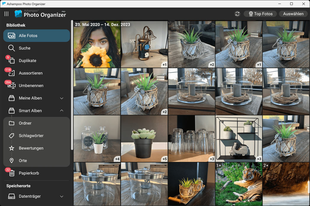 Unkomplizierte Fotoverwaltung auch für sehr große Bildersammlungen
