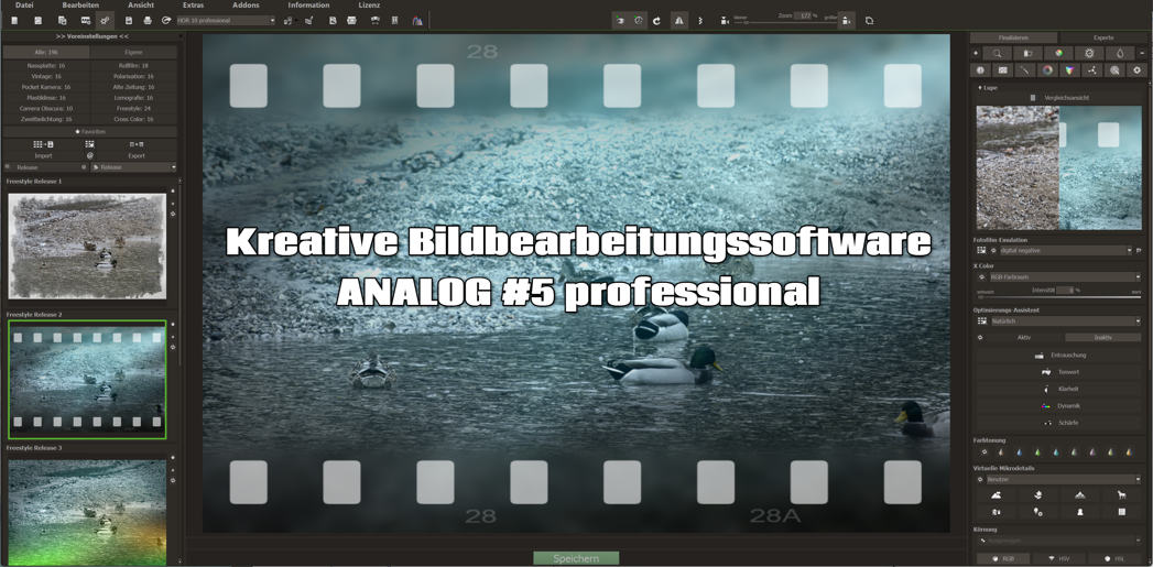 Kreative Bildbearbeitungssoftware ANALOG #5 professional