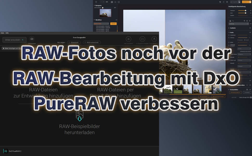 RAW-Fotos noch vor der RAW-Bearbeitung mit DxO PureRAW verbessern