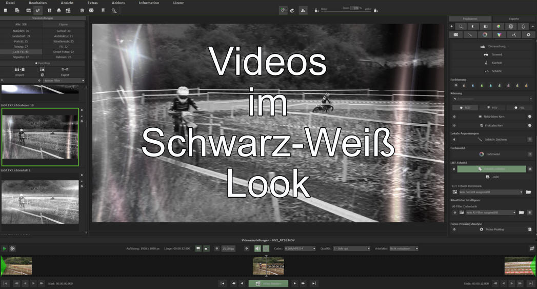 Videos im Schwarz-Weiß-Look mit BLACK & WHITE Video #2 professional